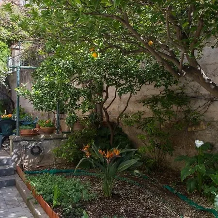 帕翠西加度假屋 *